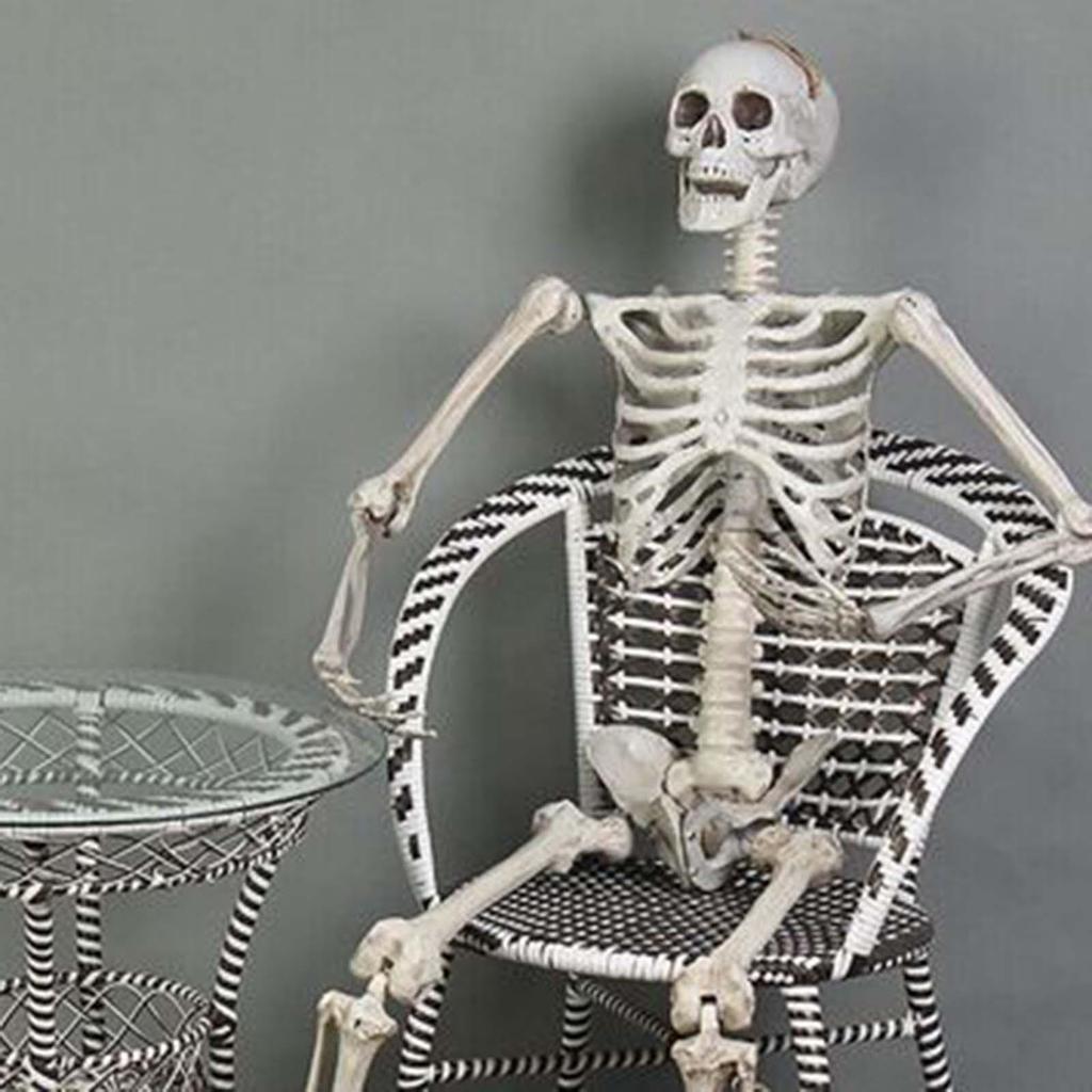 Halloween Skelett Ornament 65 Zoll Ganzkörper Bewegliche Gelenke Skelette Lebensechtes Modell für