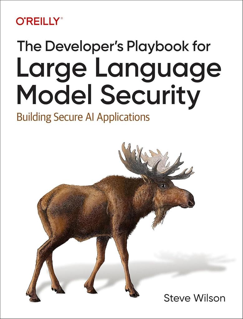 The Developer S Playbook for Large Language Paperback UKN110