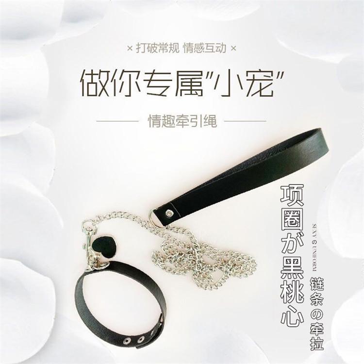 Personalized exaggerated adult sex toys, rivets, collars, flirting necklaces, neck and neck covers, special leash sets for dog slaves