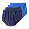 4pcs Big Size Underwear Men's L XL 2XL 3XL 4XL 5XL Briefs Large Underpants Middle-aged and elderly Cotton ComfortablePanties Male Shorts Knickers