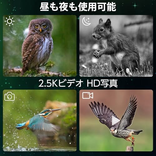 Night Vision Scope, Monocular Type, 1080P Resolution, 1.5-inch TFT Screen, 10X Digital Zoom, 5-Level Infrared Adjustment, Infrared Telephoto, Recordin