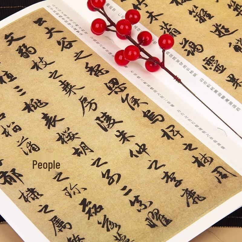 Zhao Mengfu's Ode to Leisure Calligraphy (2025 Red Edition)
