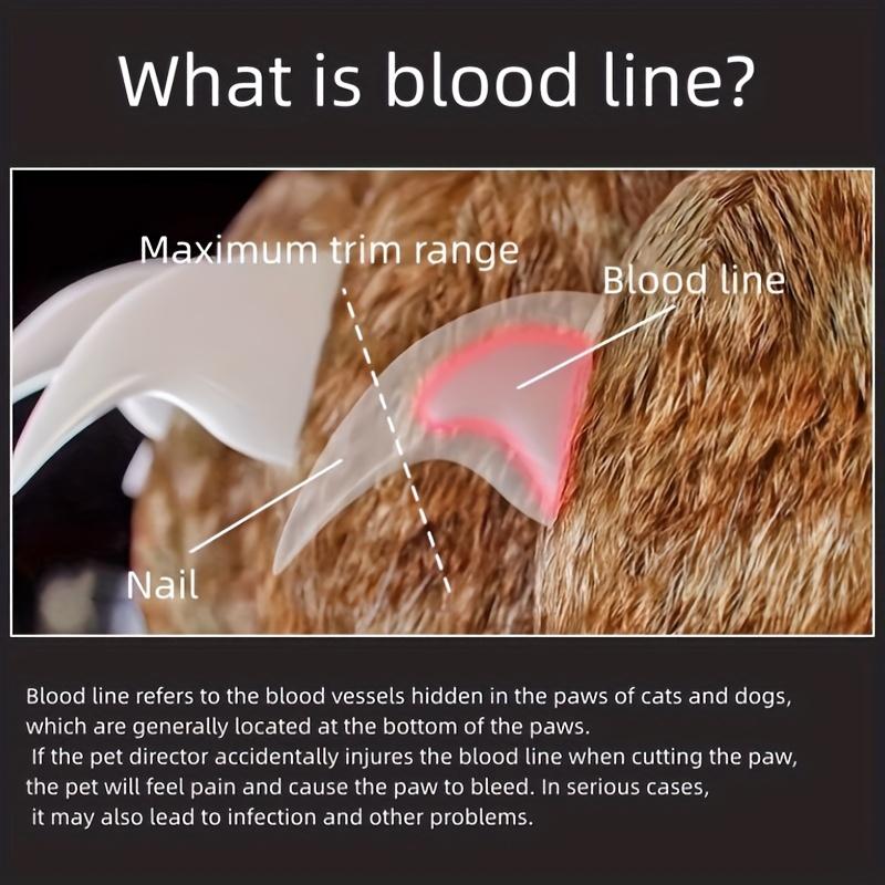 An LED Pet Nail Clipper for Easy and Safe Trimming of Dogs and Cats' Paws