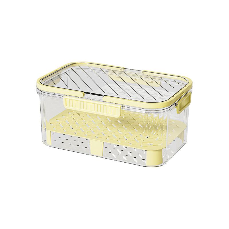 Double-Layer Portable Fresh-Keeping Box: Large Capacity for Fruits, Vegetables & Picnic Bento