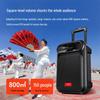 aigo S55 8-inch Portable Outdoor Karaoke Bluetooth Speaker with Dual Microphones CN plug (adapter included) (CN version)