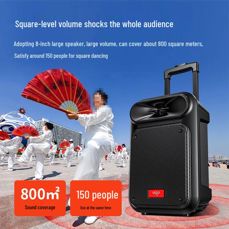 aigo S55 8-inch Portable Outdoor Karaoke Bluetooth Speaker with Dual Microphones CN plug (adapter included) (CN version)