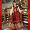 Ming Dynasty-Inspired Hanfu Women's Embroidered Bijiya Stand Collar Mamian Skirt with Velvet - Autumn/Winter Set