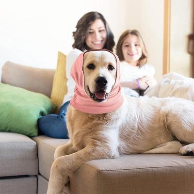 Giyim ve ayakkabı – Köpek Aksesuarları