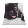 Lustige schwarze Mops Fleece-Kuscheldecke Leichtes Plüsch Flauschig Gemütlich