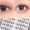 Denivyse - Individual Cluster False Eyelashes