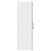 Wall Cabinet LUCCA Concrete Grey 50 x 31 x 100 cm Particleboard