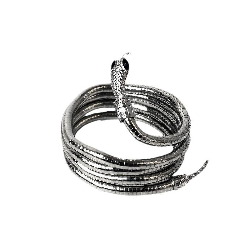 Simple and Versatile Snake Bone Chain Trendy Necklace Ins, Cool Style, Casual Styling, Winding Personality Snake Necklace