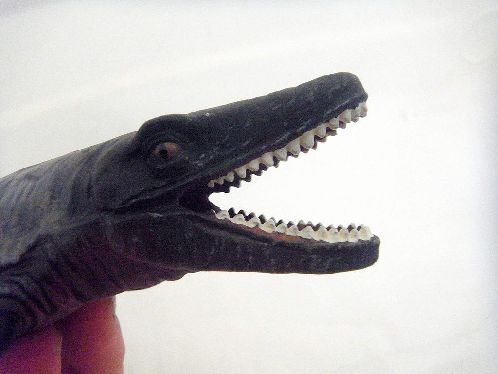 Collector Mosasaurus
