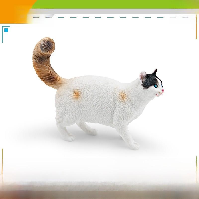 Ragdoll Katze Somali Katze Figur Für Kinder PVC Tier Modell Katze Zum Lernen Spielen