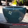 Jingdezhen Large Ceramic Goldfish & Water Lily Bowl for Courtyard
