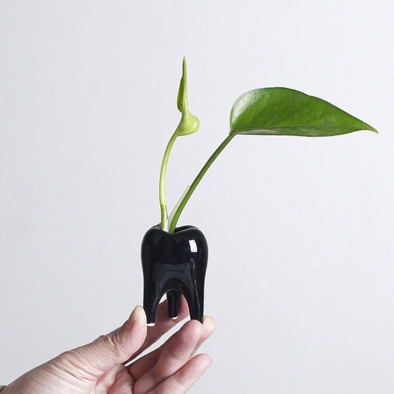 Ceramic Fleshy Plant Pot Tooth Shape Cartoon Ceramic Fleshy Plant Cactuses Flower Planter Home Desk Gardening Accessory