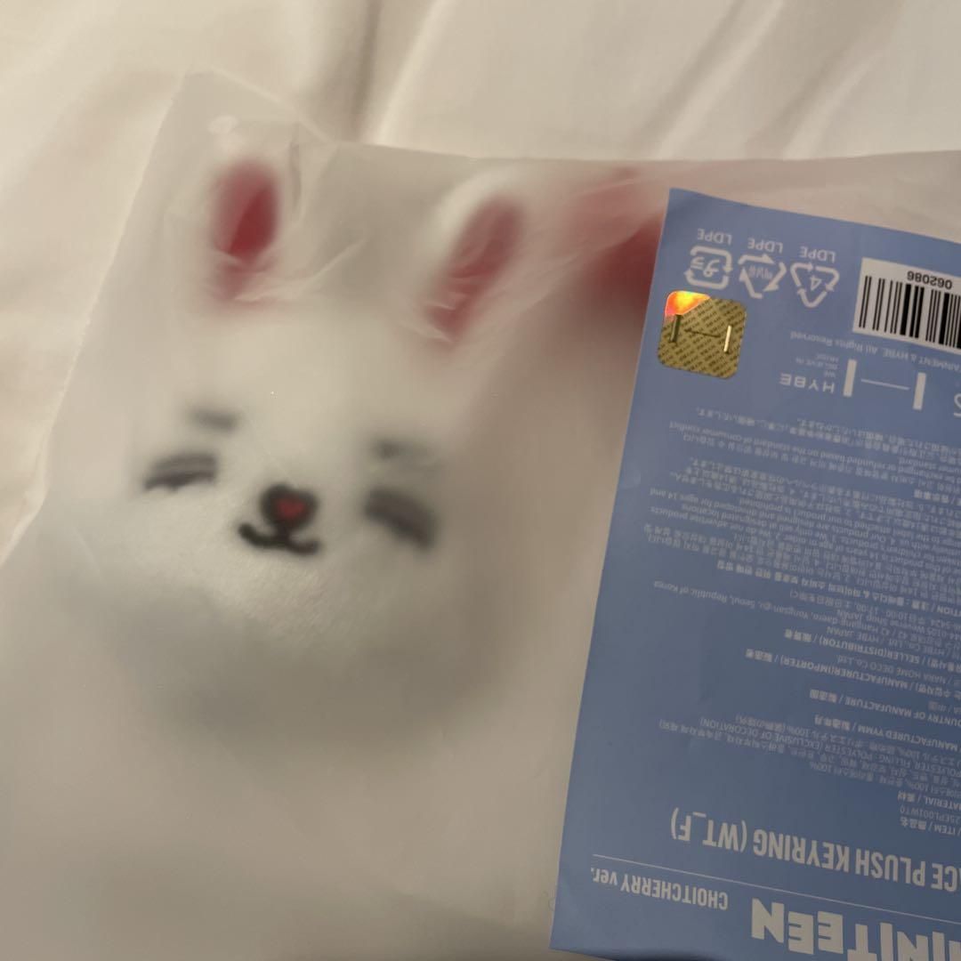 

[USED] SEVENTEEN MINITEEN Official Face Keyring S.Coups