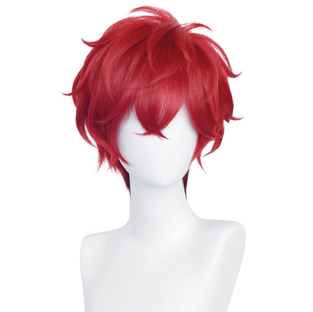 LAOBAO Cosplay Wig - Amagi Iori - Heat Resistant, Disguise Wig, Red - Costume Accessory for Parties, Halloween, Fancy Dress, School Festivals, Events