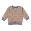 Lilly & Sid Childrens/Kids Dinosaur Sweatshirt