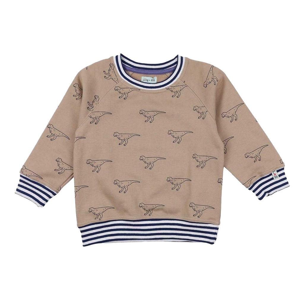 Lilly & Sid Childrens/Kids Dinosaur Sweatshirt