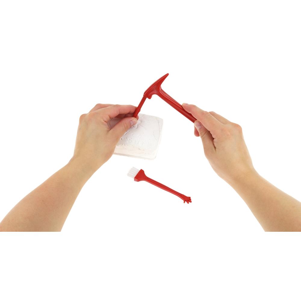 Archaeologist Archaeological Excavation Fossil Dinosaur Skeleton Set