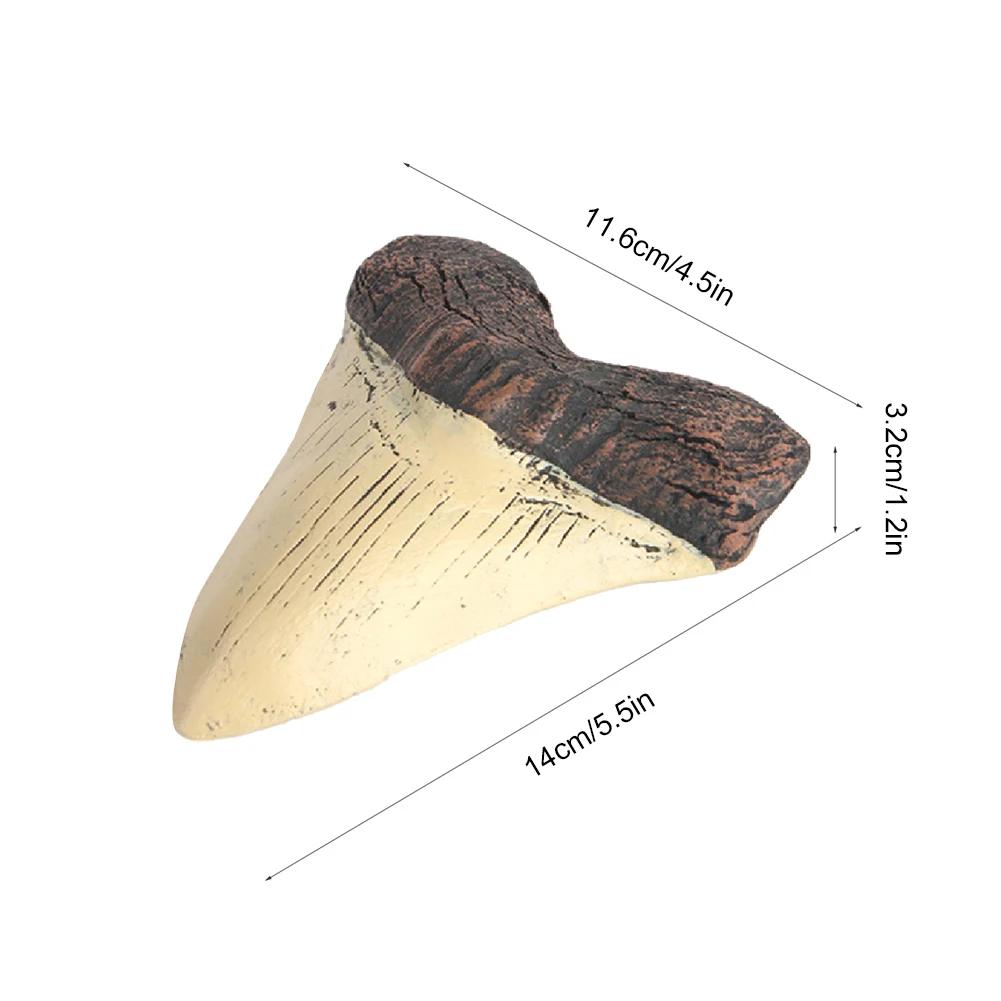 Haifischzahn Modell 5 Zoll Riesiger Megalodon Zahn Leicht zu Reinigen Haifischzahn Replik Meeresbiologie Lehr-Requisiten Zähne Fossilien Geschenke