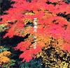 CD KETAUMEISHI  Kachofugetsu TFCC89034  2002 Japan Japanese PopRock Used