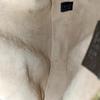 [Pre-Owned] Gucci Ophidia GG Mini Round Bag 'Beige' - Very Good #10ZVDPH