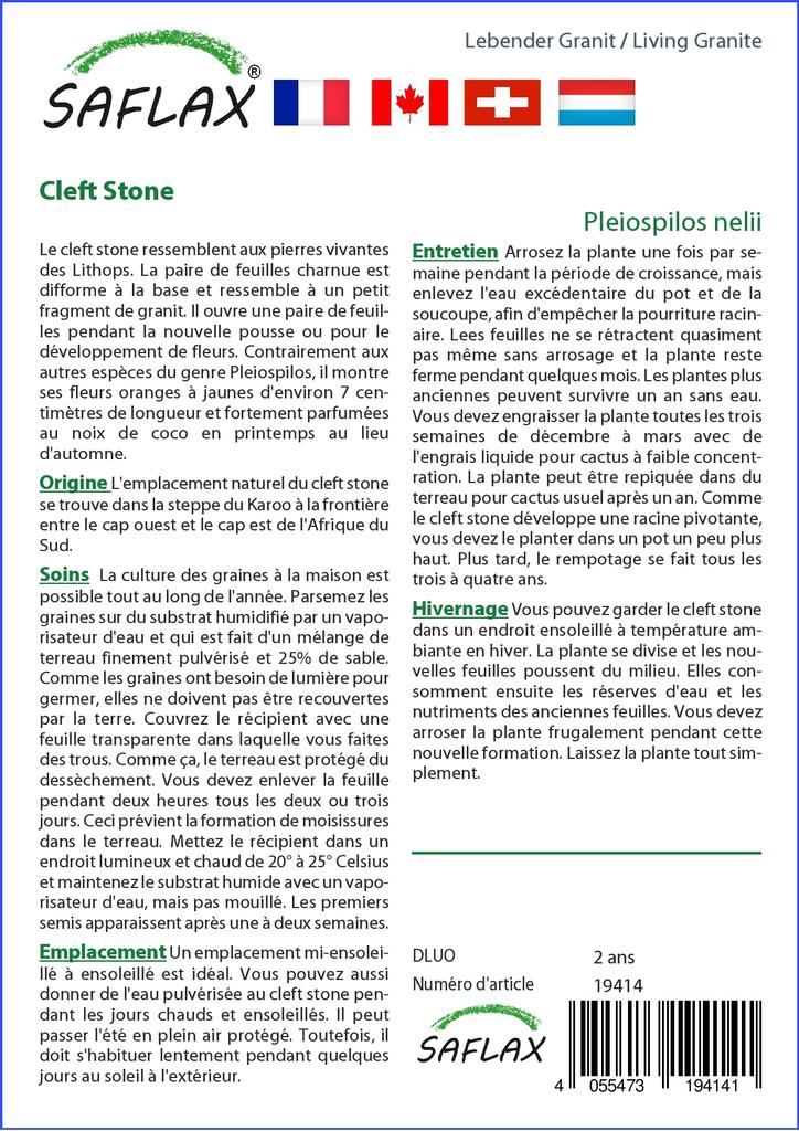 SAFLAX Lebender Granit – 40 Samen – Pleiospilos nelii