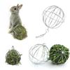 Sphere Feed Dispenser Hanging Ball Toy Guinea Pig Hamster Rat Rabbit Pet Supply