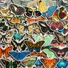 Vintage Butterfly Insect Journal Stickers - 54 Cute Cartoon Sheets for Planner or Suitcase