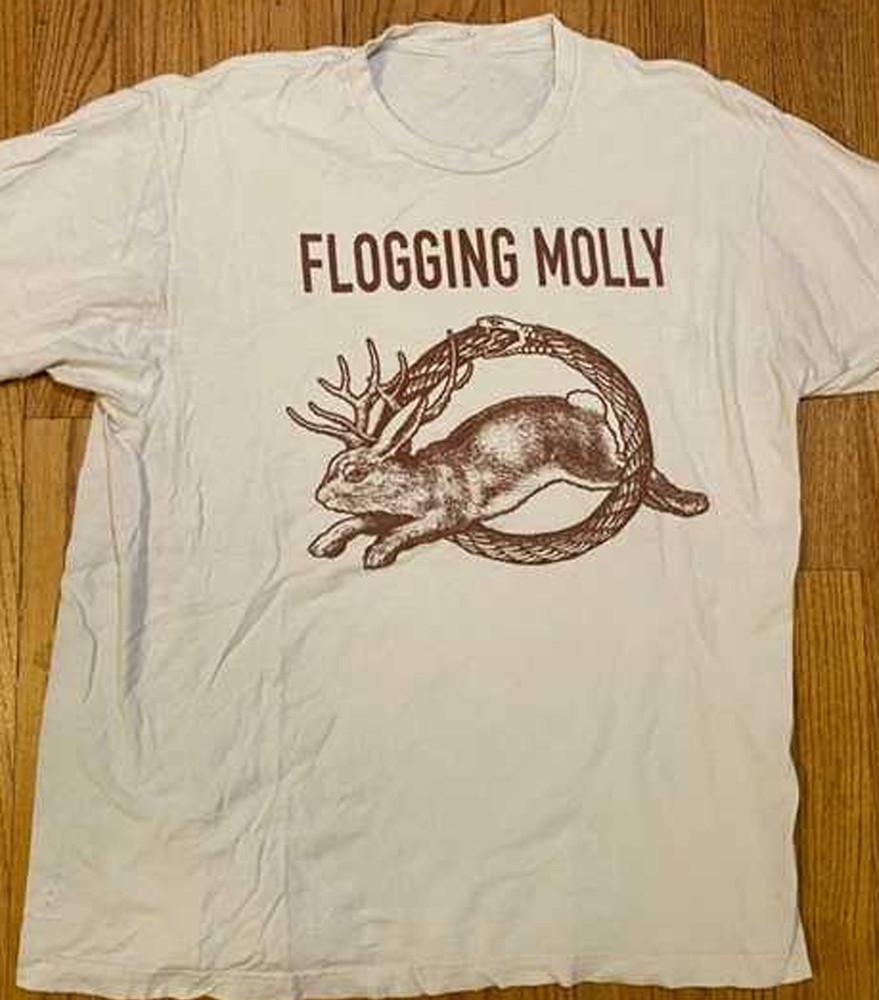 Винтажная хлопковая белая футболка с коротким рукавом Flogging Molly, все размеры, подарок фанату, футболка AE213, унисекс M