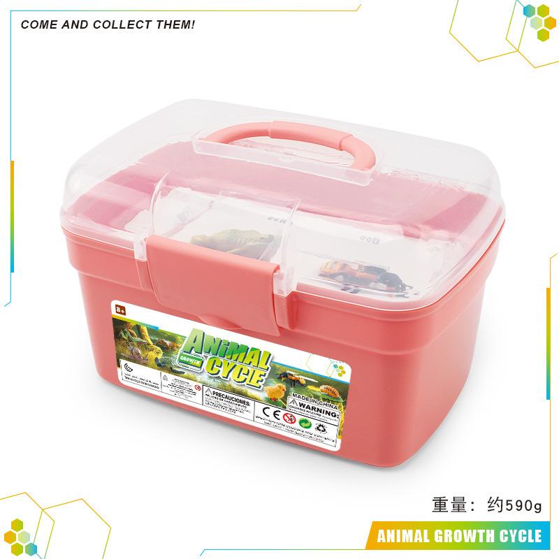 Simulation Of Animals And Plants Insects 6 Themes Butterfly Bee Frog Model Growth Cycle Storage Box Set
