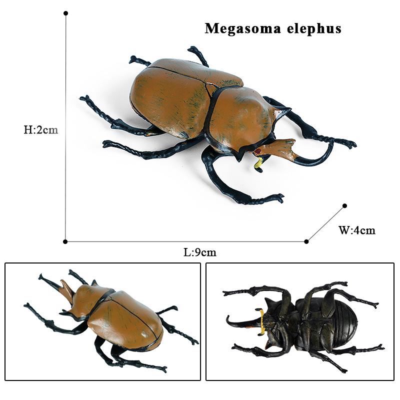 Oenux Wild Insect Animals Model Mantis Grasshopper Butterfly Bee Beetle Action Figures PVC Science Education Collection Kid Toy