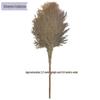 Versatile Cleaning Brooms