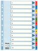 Esselte Mylar A4 Kartonnen Scheidingsblad Geïndexeerd 1-12 / 12 Kaarten / 100162