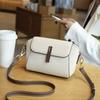 Premium Light Luxury Messenger Bag Niche Fashion Versatile Shoulder Shell Bag Small Bag