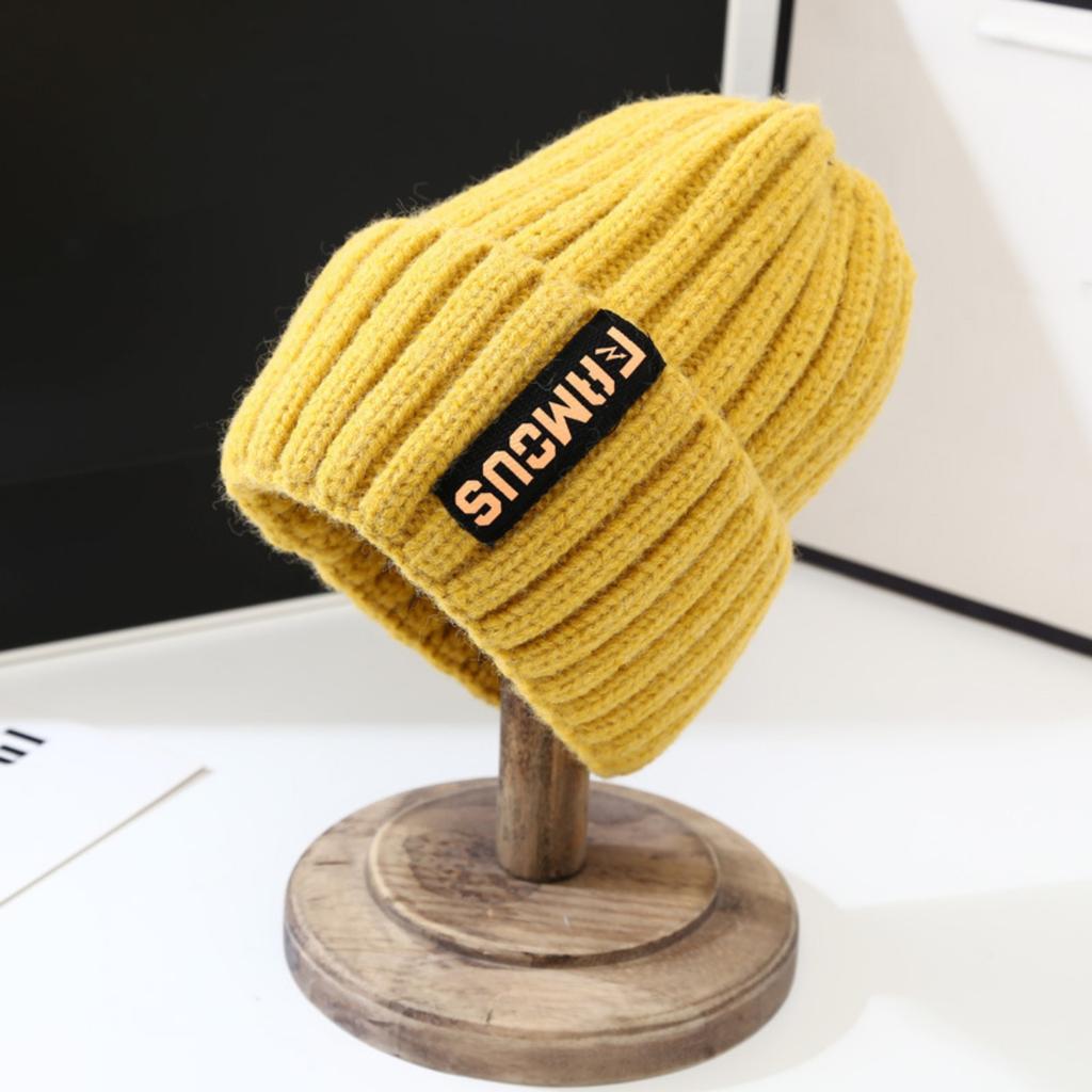 Winter Warm Hat Knitted Wool Hat Pile Hat