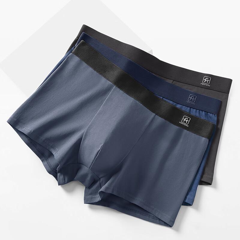 Fenteng Men's Antibacterial Cotton Boxer Briefs