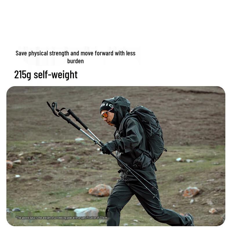 MOBIGARDEN NX25667010 Telescopic Aluminum Trekking Pole