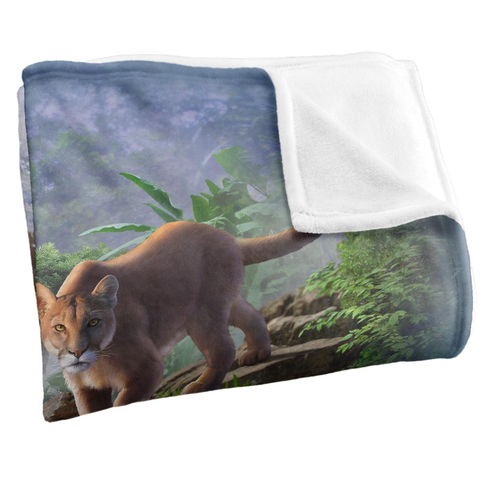 JQ Licensing Jlo Silky Cats Supersoft Blanket