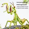 Child Simulation Insect Model 4D Assembled Puzzle Animal Toy Butterfly Bee Mantis Action Figures Educational Kid Toy Gift