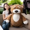 Cute Party Forest Animal Brown Bear Doll Panda Plush Toy Hug Sleeping Doll Send Children's Day Gift