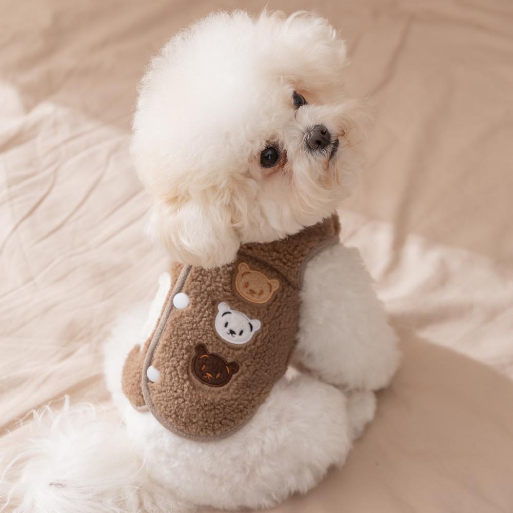 Pet Clothes Dog Clothes Autumn and Winter Two-legged Fleece Puppy Bigbear Teddy