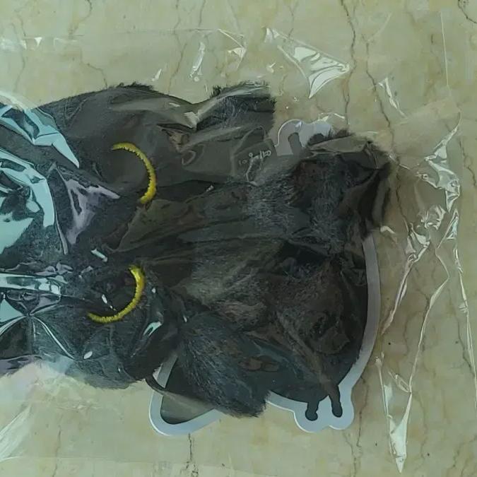 

Superjunior Yesung Concert Keyring