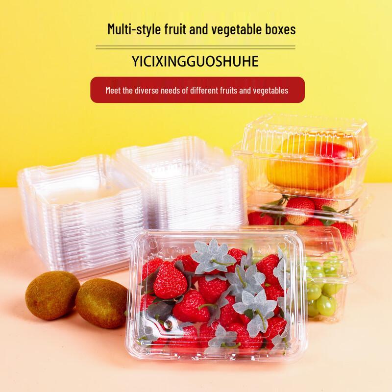Changbaosen Disposable Transparent Food Containers with Lids