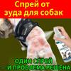 Ringworm Spray for Cats and Dogs, 100 Ml