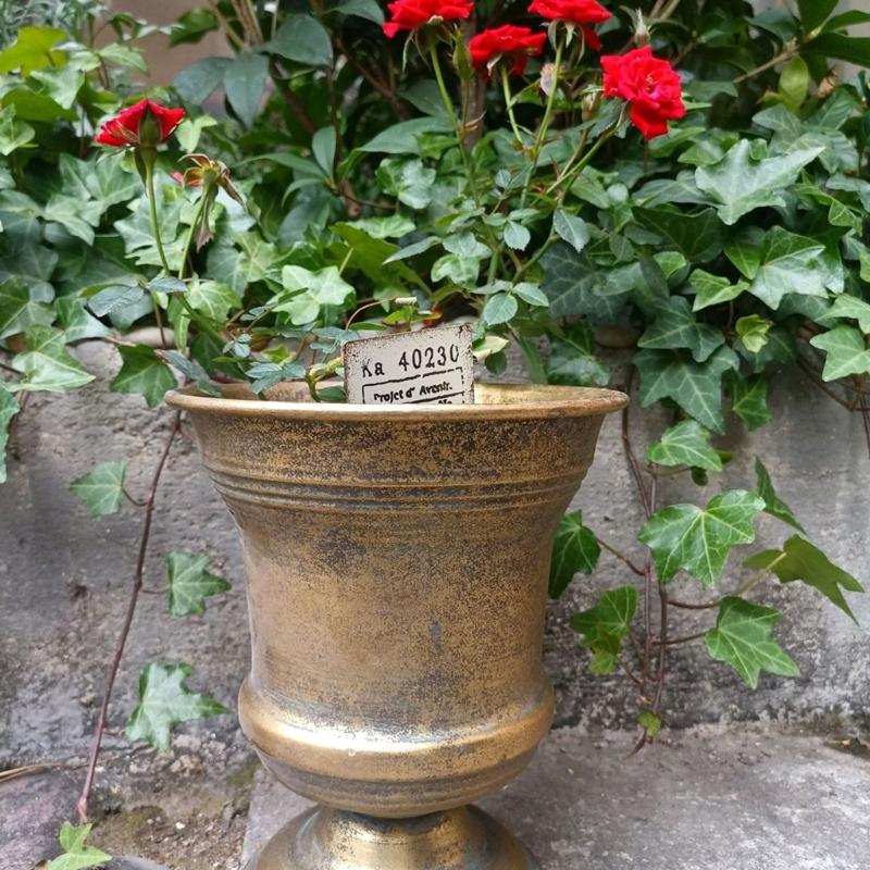 Französischer Landhausstil Pflanzgefäße Dekorative Behälter Ideal für Trockenblumen Kunstpflanzen Bauernhaus Innen Außen Landschaft