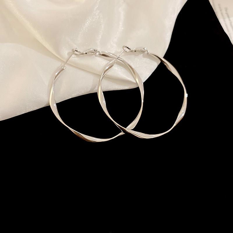 Stylish Silver Needle Round Hoop Earrings: Simple, Fashionable, Versatile, with a Light Luxury Feel