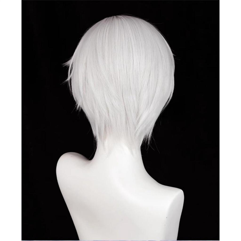 Laubao Shopping Antarcticite Cosplay Gray Costume Halloween Cosplay Wig Wig, Bob, Hair, Heat-Resistant, Accessory, Costume, (Antarcticite)